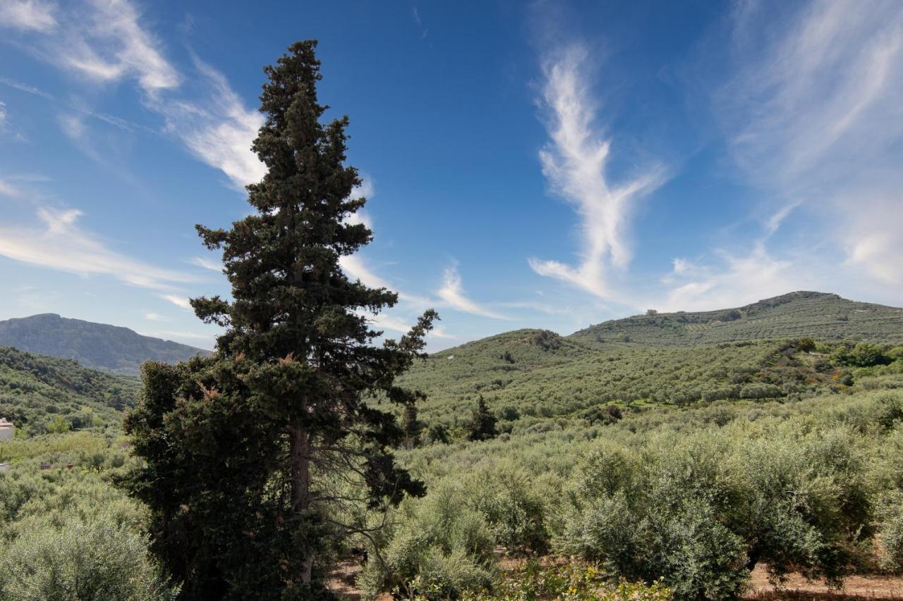 Achilleas Deluxe Αpartment -Pet Friendly-Parking-Mountain View Villa Kotsianá Exteriör bild