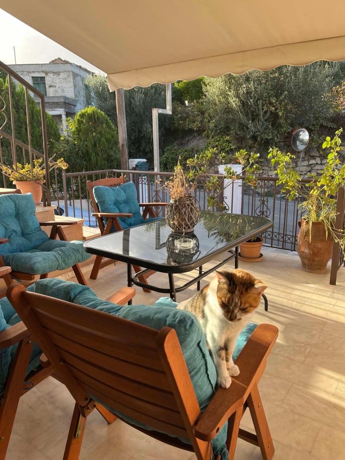 Achilleas Deluxe Αpartment -Pet Friendly-Parking-Mountain View Villa Kotsianá Exteriör bild